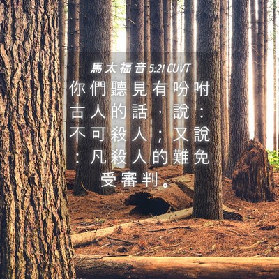 Picture 04 - 馬 太 福 音 5:21 CUVT - 你 們 聽 見 有 吩 咐 古 人 的 話 ， - Bible Verse Picture