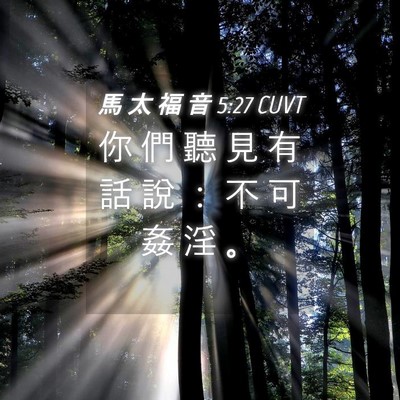Picture 04 - 馬 太 福 音 5:27 CUVT - 你 們 聽 見 有 話 說 ： 不 可 姦 淫 - Bible Verse Picture