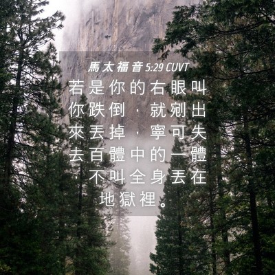 Picture 04 - 馬 太 福 音 5:29 CUVT - 若 是 你 的 右 眼 叫 你 跌 倒 ， 就 - Bible Verse Picture
