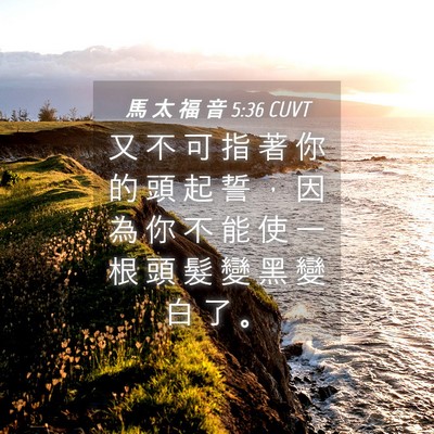 Picture 04 - 馬 太 福 音 5:36 CUVT - 又 不 可 指 著 你 的 頭 起 誓 ， 因 - Bible Verse Picture