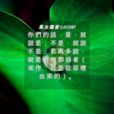 Picture 04 - 馬 太 福 音 5:37 CUVT - 你 們 的 話 ， 是 ， 就 說 是 ； 不 - Bible Verse Picture