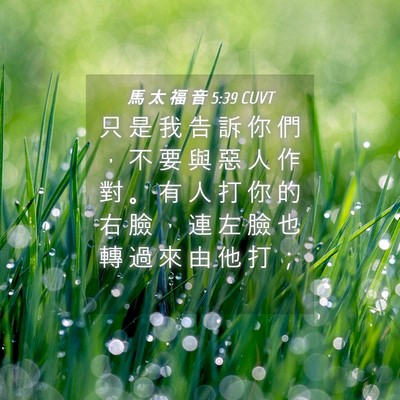 Picture 04 - 馬 太 福 音 5:39 CUVT - 只 是 我 告 訴 你 們 ， 不 要 與 惡 - Bible Verse Picture