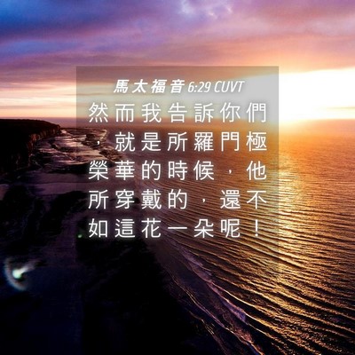 Picture 04 - 馬 太 福 音 6:29 CUVT - 然 而 我 告 訴 你 們 ， 就 是 所 羅 - Bible Verse Picture