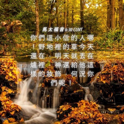 Picture 04 - 馬 太 福 音 6:30 CUVT - 你 們 這 小 信 的 人 哪 ！ 野 地 裡 - Bible Verse Picture