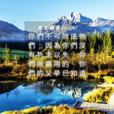 Picture 04 - 馬 太 福 音 6:8 CUVT - 你 們 不 可 效 法 他 們 ； 因 為 你 - Bible Verse Picture