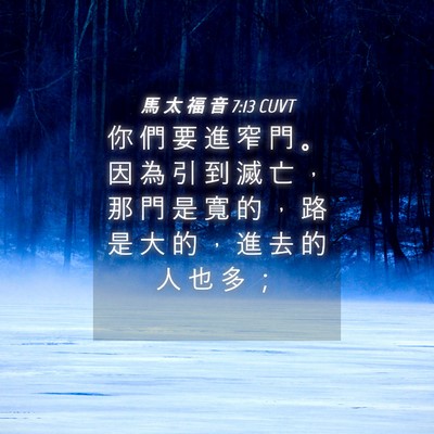 Picture 04 - 馬 太 福 音 7:13 CUVT - 你 們 要 進 窄 門 。 因 為 引 到 滅 - Bible Verse Picture