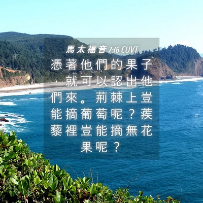Picture 04 - 馬 太 福 音 7:16 CUVT - 憑 著 他 們 的 果 子 ， 就 可 以 認 - Bible Verse Picture