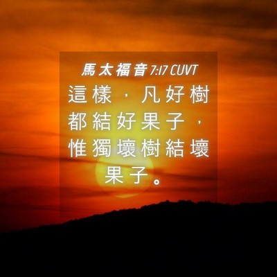 Picture 04 - 馬 太 福 音 7:17 CUVT - 這 樣 ， 凡 好 樹 都 結 好 果 子 ， - Bible Verse Picture