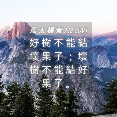 Picture 04 - 馬 太 福 音 7:18 CUVT - 好 樹 不 能 結 壞 果 子 ； 壞 樹 不 - Bible Verse Picture