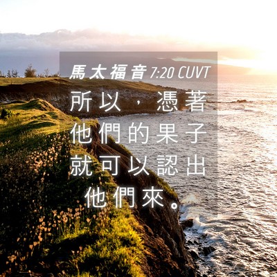 Picture 04 - 馬 太 福 音 7:20 CUVT - 所 以 ， 憑 著 他 們 的 果 子 就 可 - Bible Verse Picture