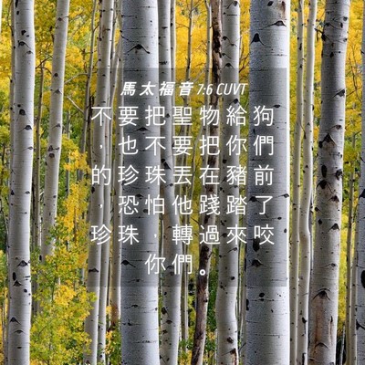 Picture 04 - 馬 太 福 音 7:6 CUVT - 不 要 把 聖 物 給 狗 ， 也 不 要 把 - Bible Verse Picture