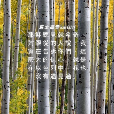 Picture 04 - 馬 太 福 音 8:10 CUVT - 耶 穌 聽 見 就 希 奇 ， 對 跟 從 的 - Bible Verse Picture