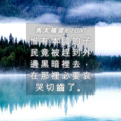 Picture 04 - 馬 太 福 音 8:12 CUVT - 惟 有 本 國 的 子 民 竟 被 趕 到 外 - Bible Verse Picture