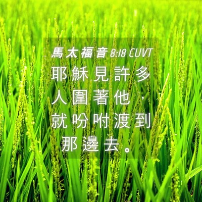 Picture 04 - 馬 太 福 音 8:18 CUVT - 耶 穌 見 許 多 人 圍 著 他 ， 就 吩 - Bible Verse Picture