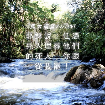Picture 04 - 馬 太 福 音 8:22 CUVT - 耶 穌 說 ： 任 憑 死 人 埋 葬 他 們 - Bible Verse Picture
