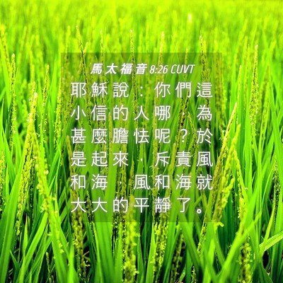 Picture 04 - 馬 太 福 音 8:26 CUVT - 耶 穌 說 ： 你 們 這 小 信 的 人 哪 - Bible Verse Picture