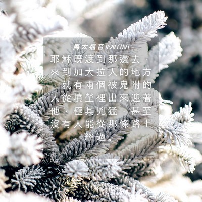 Picture 04 - 馬 太 福 音 8:28 CUVT - 耶 穌 既 渡 到 那 邊 去 ， 來 到 加 - Bible Verse Picture
