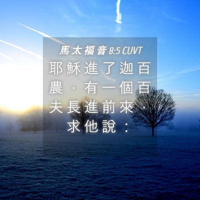 Picture 04 - 馬 太 福 音 8:5 CUVT - 耶 穌 進 了 迦 百 農 ， 有 一 個 百 - Bible Verse Picture