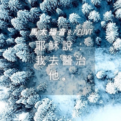 Picture 04 - 馬 太 福 音 8:7 CUVT - 耶 穌 說 ： 我 去 醫 治 他 - Bible Verse Picture