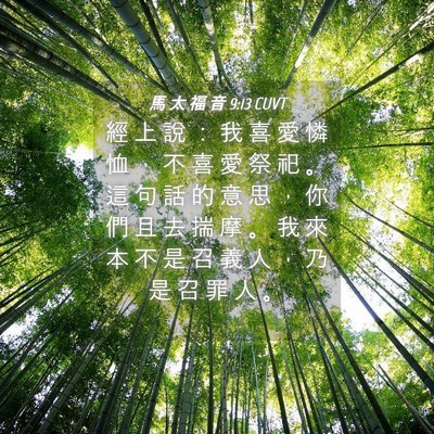 Picture 04 - 馬 太 福 音 9:13 CUVT - 經 上 說 ： 我 喜 愛 憐 恤 ， 不 喜 - Bible Verse Picture