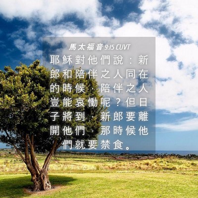 Picture 04 - 馬 太 福 音 9:15 CUVT - 耶 穌 對 他 們 說 ： 新 郎 和 陪 伴 - Bible Verse Picture