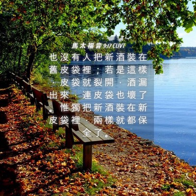 Picture 04 - 馬 太 福 音 9:17 CUVT - 也 沒 有 人 把 新 酒 裝 在 舊 皮 袋 - Bible Verse Picture