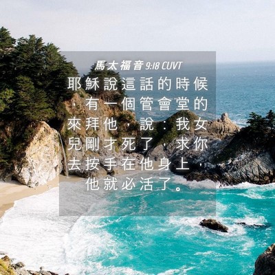 Picture 04 - 馬 太 福 音 9:18 CUVT - 耶 穌 說 這 話 的 時 候 ， 有 一 個 - Bible Verse Picture