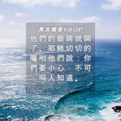Picture 04 - 馬 太 福 音 9:30 CUVT - 他 們 的 眼 睛 就 開 了 。 耶 穌 切 - Bible Verse Picture
