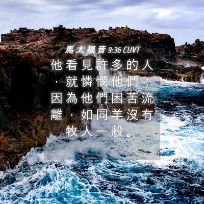 Picture 04 - 馬 太 福 音 9:36 CUVT - 他 看 見 許 多 的 人 ， 就 憐 憫 他 - Bible Verse Picture