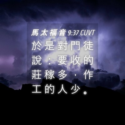 Picture 04 - 馬 太 福 音 9:37 CUVT - 於 是 對 門 徒 說 ： 要 收 的 莊 稼 - Bible Verse Picture