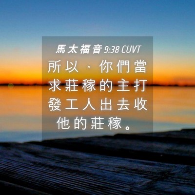 Picture 04 - 馬 太 福 音 9:38 CUVT - 所 以 ， 你 們 當 求 莊 稼 的 主 打 - Bible Verse Picture