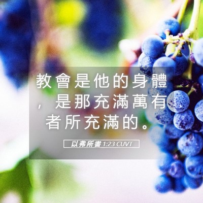 Picture 05 - 以 弗 所 書 1:23 CUVT - 教 會 是 他 的 身 體 ， 是 那 充 滿 - Bible Verse Picture