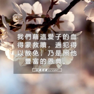 Picture 05 - 以 弗 所 書 1:7 CUVT - 我 們 藉 這 愛 子 的 血 得 蒙 救 贖 - Bible Verse Picture