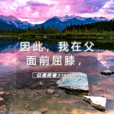 Picture 05 - 以 弗 所 書 3:14 CUVT - 因 此 ， 我 在 父 面 前 屈 膝 - Bible Verse Picture
