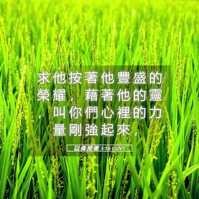 Picture 05 - 以 弗 所 書 3:16 CUVT - 求 他 按 著 他 豐 盛 的 榮 耀 ， 藉 - Bible Verse Picture