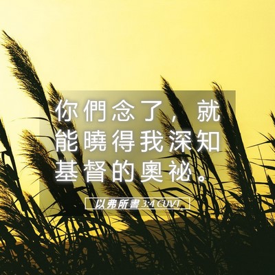 Picture 05 - 以 弗 所 書 3:4 CUVT - 你 們 念 了 ， 就 能 曉 得 我 深 知 - Bible Verse Picture