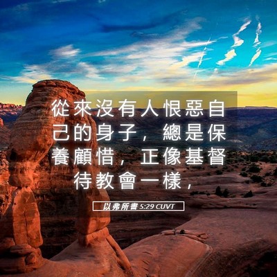 Picture 05 - 以 弗 所 書 5:29 CUVT - 從 來 沒 有 人 恨 惡 自 己 的 身 子 - Bible Verse Picture