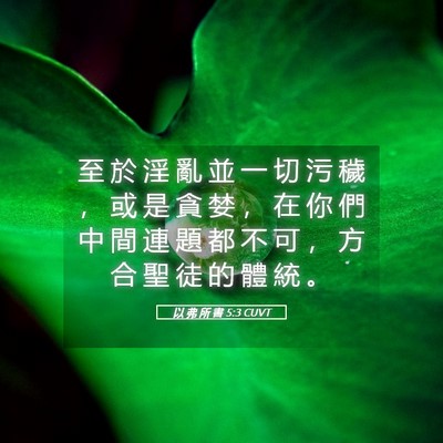 Picture 05 - 以 弗 所 書 5:3 CUVT - 至 於 淫 亂 並 一 切 污 穢 ， 或 是 - Bible Verse Picture