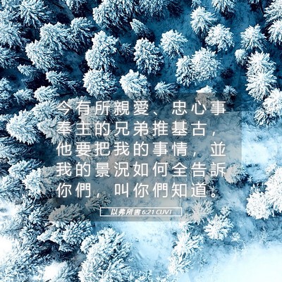 Picture 05 - 以 弗 所 書 6:21 CUVT - 今 有 所 親 愛 、 忠 心 事 奉 主 的 - Bible Verse Picture
