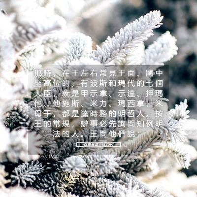 Picture 05 - 以 斯 帖 記 1:13 CUVT - 那 時 ， 在 王 左 右 常 見 王 面 、 - Bible Verse Picture