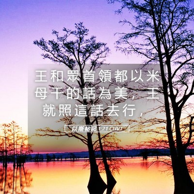Picture 05 - 以 斯 帖 記 1:21 CUVT - 王 和 眾 首 領 都 以 米 母 干 的 話 - Bible Verse Picture