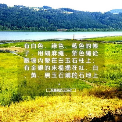 Picture 05 - 以 斯 帖 記 1:6 CUVT - 有 白 色 、 綠 色 、 藍 色 的 帳 子 - Bible Verse Picture