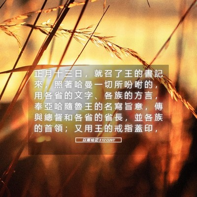 Picture 05 - 以 斯 帖 記 3:12 CUVT - 正 月 十 三 日 ， 就 召 了 王 的 書 - Bible Verse Picture