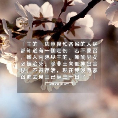 Picture 05 - 以 斯 帖 記 4:11 CUVT - 「 王 的 一 切 臣 僕 和 各 省 的 人 - Bible Verse Picture