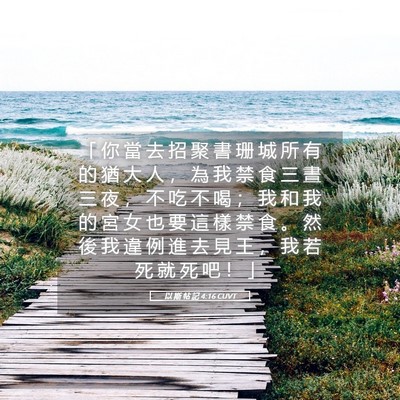 Picture 05 - 以 斯 帖 記 4:16 CUVT - 「 你 當 去 招 聚 書 珊 城 所 有 的 - Bible Verse Picture