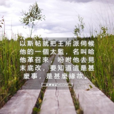 Picture 05 - 以 斯 帖 記 4:5 CUVT - 以 斯 帖 就 把 王 所 派 伺 候 他 的 - Bible Verse Picture