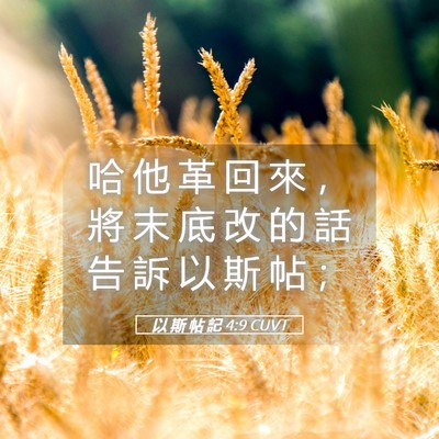Picture 05 - 以 斯 帖 記 4:9 CUVT - 哈 他 革 回 來 ， 將 末 底 改 的 話 - Bible Verse Picture