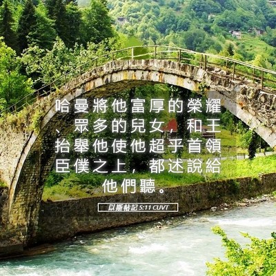 Picture 05 - 以 斯 帖 記 5:11 CUVT - 哈 曼 將 他 富 厚 的 榮 耀 、 眾 多 - Bible Verse Picture