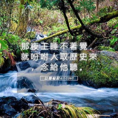 Picture 05 - 以 斯 帖 記 6:1 CUVT - 那 夜 王 睡 不 著 覺 ， 就 吩 咐 人 - Bible Verse Picture