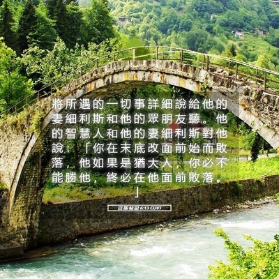 Picture 05 - 以 斯 帖 記 6:13 CUVT - 將 所 遇 的 一 切 事 詳 細 說 給 他 - Bible Verse Picture